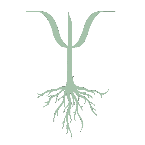 Ségolène Chevallier – Psychologue clinicienne